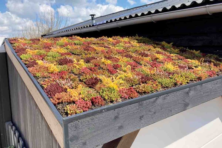 4 tipy, ako si vytvoriť vlastnú zelenú strechu