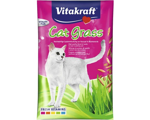 Mačacia tráva Vitakraft Cat Grass 50 g