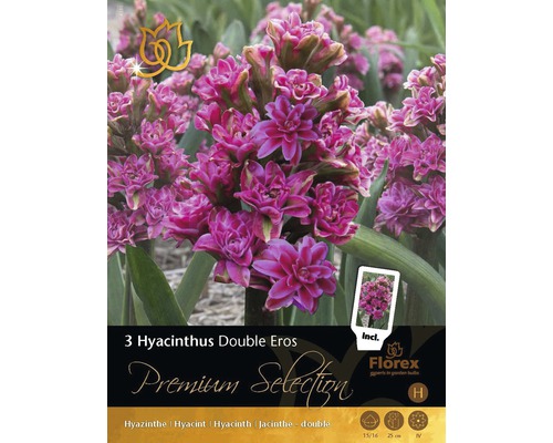 Hyacinty Premium Double Eros 3 ks
