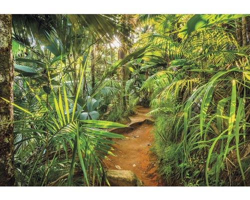 Fototapeta KOMAR Jungle Trail