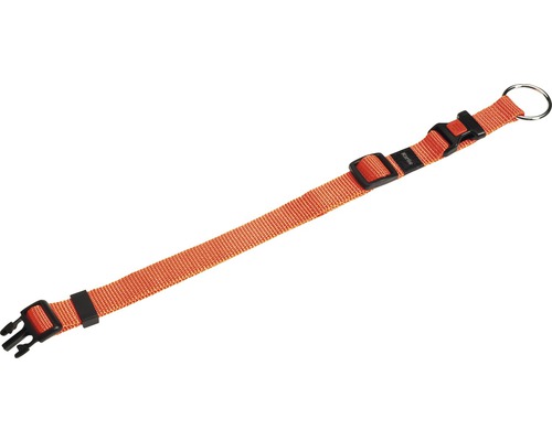 Obojok pre psa 40–55 cm, 20 mm oranžový