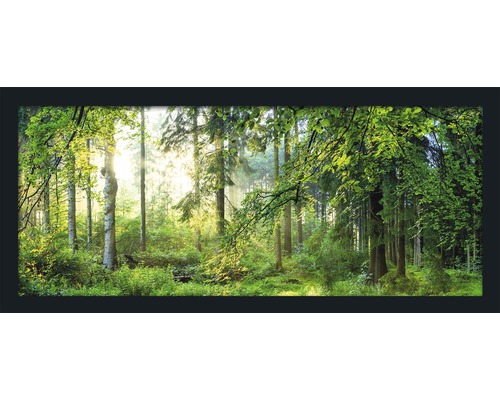 Obraz v ráme Forest Harmony 130x60 cm