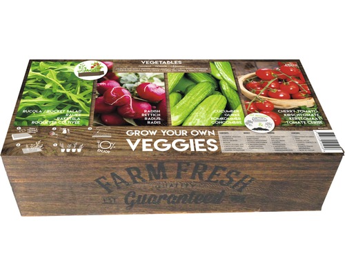Grow-Box XL *Farm Fresh zelenina' box na pestovanie vr. semien zeleniny a substrátu na predpestovanie 39,5x19,5x12 cm