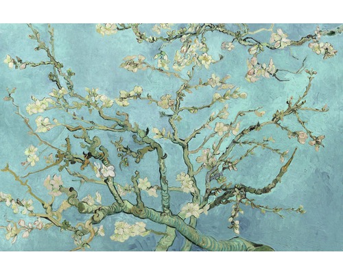 Plagát Maxi Van Gogh-bloesem 61x91,5 cm