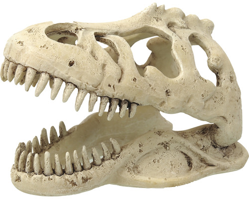 Dekorácia do terária Repti Planet T-Rex lebka 13,3x8,5x9 cm