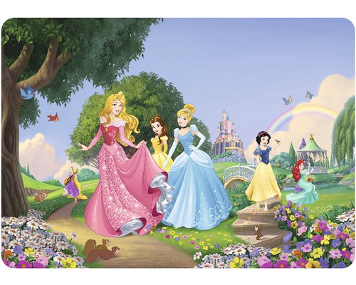 Prestieranie Disney princezny 42x30 cm TMD 8300