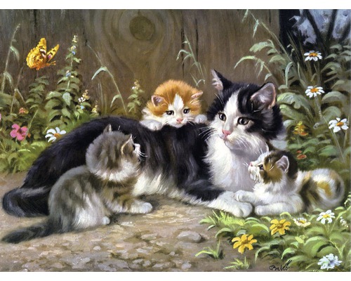 Obraz Decopanel Mačka s mačiatkami 20x25 cm