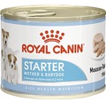 Konzerva pre psov Royal Canin CHN Starter Mousse 195 g