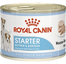 Konzerva pre psov Royal Canin Starter Mousse 195 g-thumb-0
