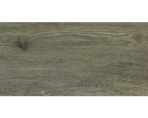 Dlažba imitácia dreva Home Wood Dark 31x62 cm