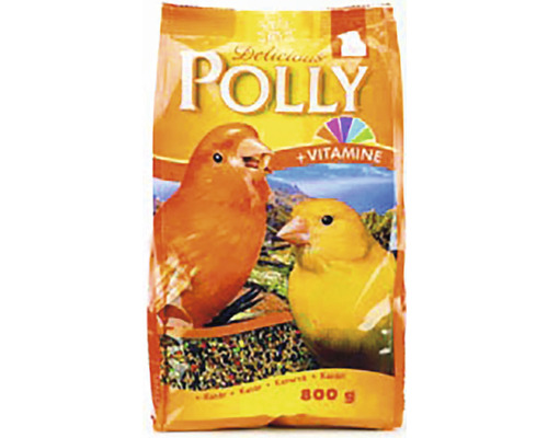 Krmivo pre kanáriky Polly 800 g