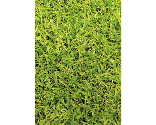 Umelý trávnik Garden Grass Terraza zelený šírka 100 cm (metráž)