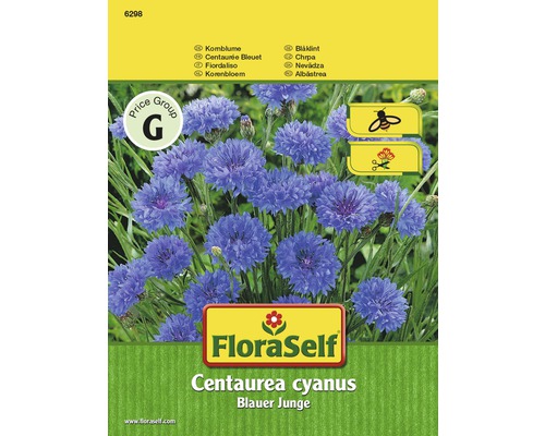 Nevädza poľná Blauer Junge 'Centaurea cyanus' semená FloraSelf