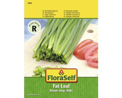 Pažítka cesnaková Fat leaf semená FloraSelf