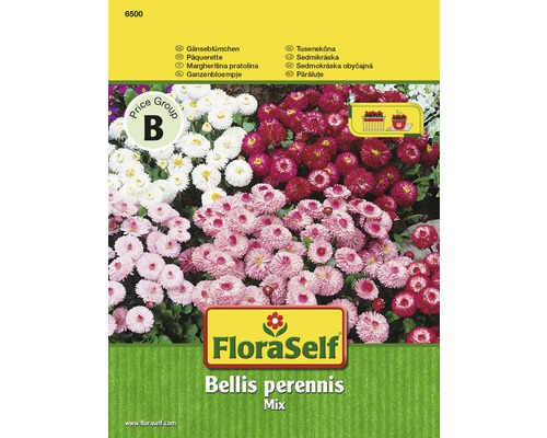 Sedmokráska obyčajná 'Bellis perennis' kvetinové semená FloraSelf