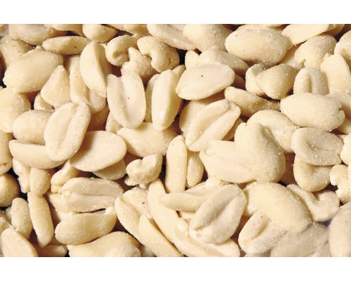 Krmivo pre voľne žijúce vtáky blanšírované arašidy 1 kg