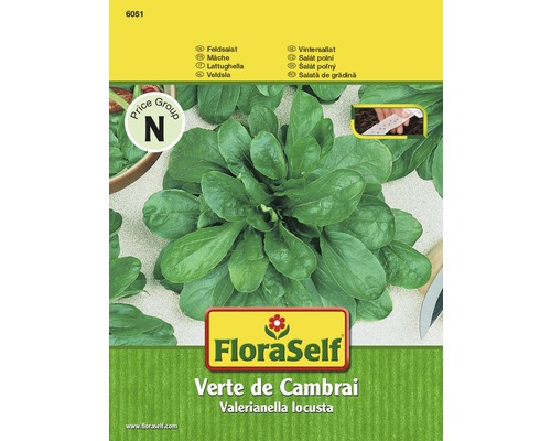 Poľníček 'Verte de Cambrai' FloraSelf výsevný pás