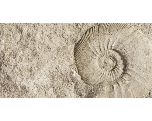 Obklad do kúpeľne mySPOTTI aqua Fossil 90x45 cm