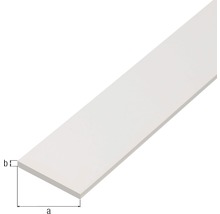 Profil plochý biely 25x2 mm 2 m-thumb-1