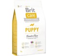 Granule pre psov Brit Care Superpremium Puppy Lamb & Rice 3 kg