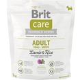 Granule pre psov Brit Care Superpremium Adult Small Breed Lamb & Rice 1 kg