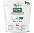 Granule pre psov Brit Care Superpremium Senior Lamb & Rice 1 kg