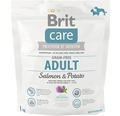 Granule pre psov Brit Care Superpremium Adult Salmon & Potato 1 kg