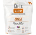 Granule pre psov Brit Care Superpremium Adult Medium Breed Lamb & Rice 1 kg
