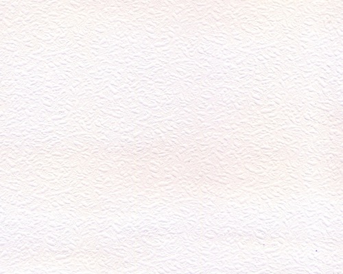 Papierová tapeta Duplex s omietkovým vzhľadem biela